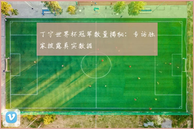 丁宁世界杯冠军数量揭秘：专访独家披露真实数据
