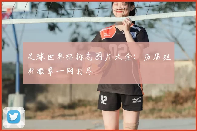 足球世界杯标志图片大全：历届经典徽章一网打尽