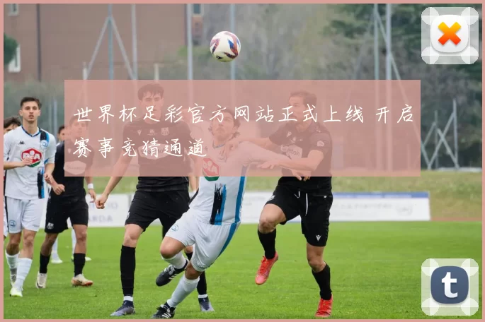 世界杯足彩官方网站正式上线 开启赛事竞猜通道