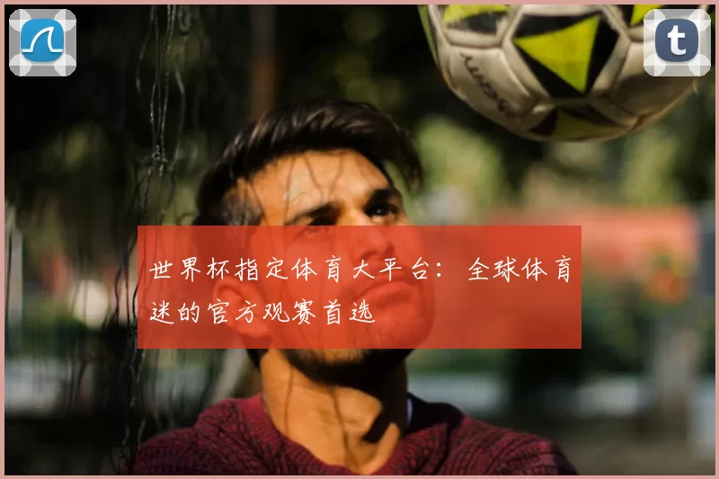 世界杯指定体育大平台：全球体育迷的官方观赛首选