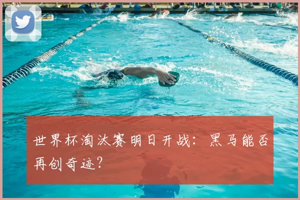 世界杯淘汰赛明日开战：黑马能否再创奇迹？