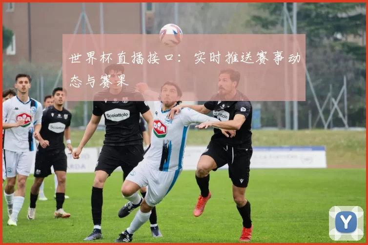 世界杯直播接口：实时推送赛事动态与赛果