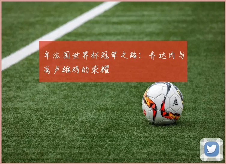 年法国世界杯冠军之路：齐达内与高卢雄鸡的荣耀