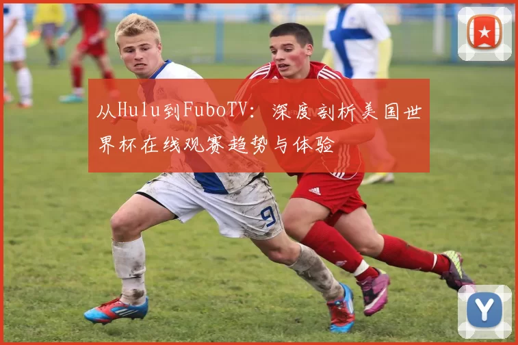从Hulu到FuboTV：深度剖析美国世界杯在线观赛趋势与体验