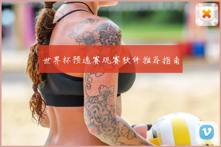 世界杯预选赛观赛软件推荐指南