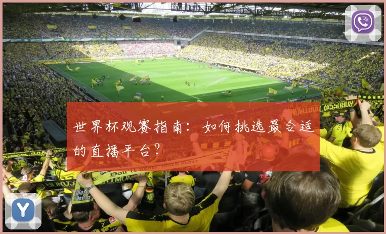 世界杯观赛指南：如何挑选最合适的直播平台？