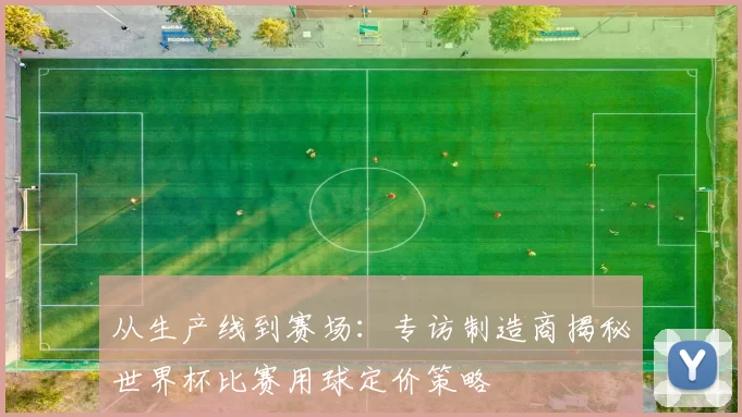 从生产线到赛场：专访制造商揭秘世界杯比赛用球定价策略