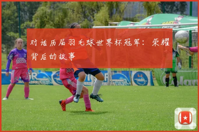 对话历届羽毛球世界杯冠军：荣耀背后的故事